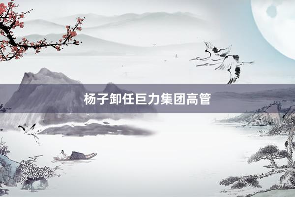杨子卸任巨力集团高管